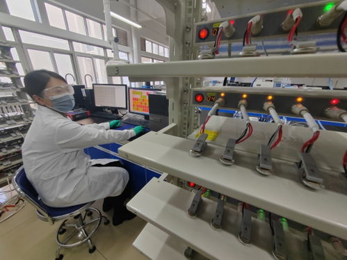 中國首創(chuàng)！洛陽牡丹殼變廢為寶，開啟鈉電池負(fù)極材料新紀(jì)元